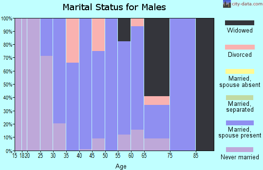 Zip code 13656 marital status for males
