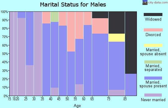 Zip code 13658 marital status for males
