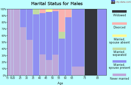 Zip code 13659 marital status for males