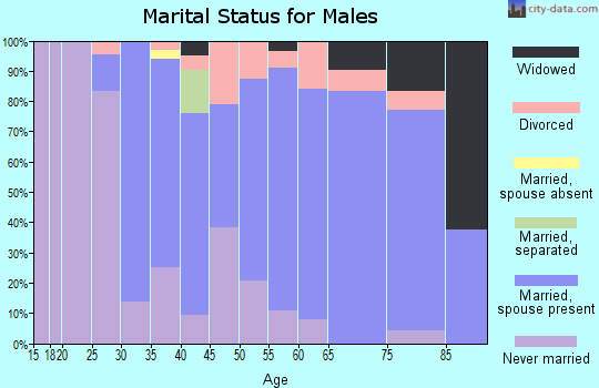 Zip code 13660 marital status for males