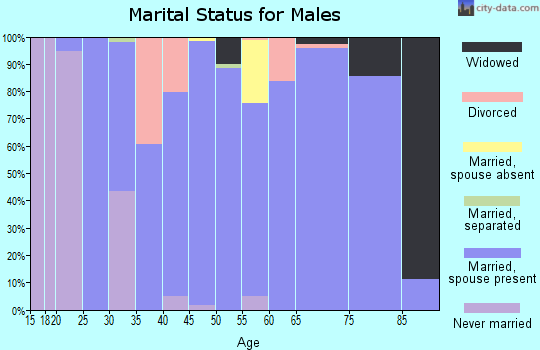 Zip code 13661 marital status for males