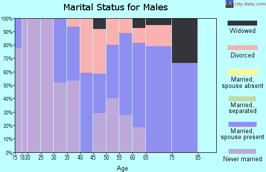 Zip code 13664 marital status for males