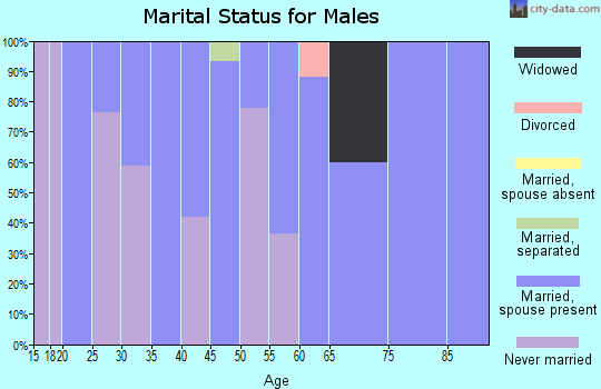 Zip code 13665 marital status for males