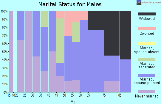 Zip code 13667 marital status for males