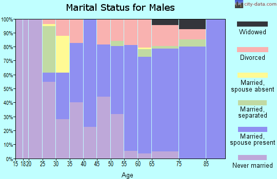 Zip code 13668 marital status for males