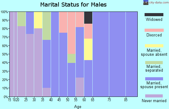 Zip code 13670 marital status for males