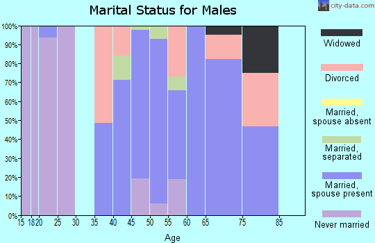Zip code 13679 marital status for males