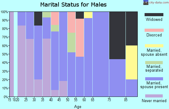 Zip code 13680 marital status for males