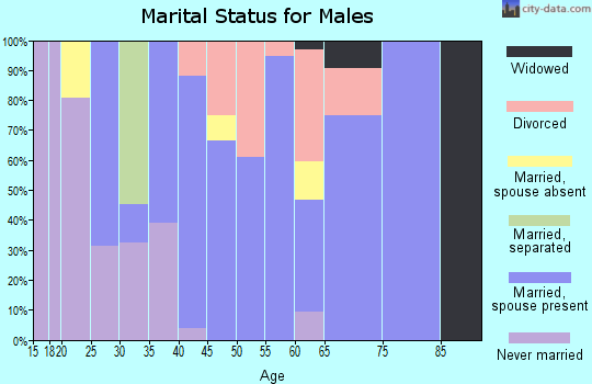 Zip code 13681 marital status for males