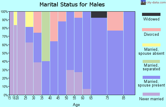Zip code 13682 marital status for males