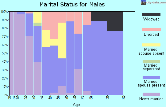 Zip code 13685 marital status for males