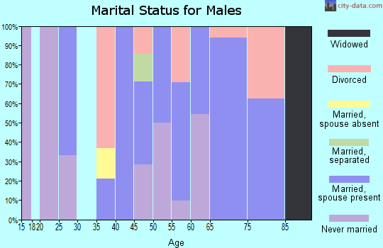 Zip code 13687 marital status for males