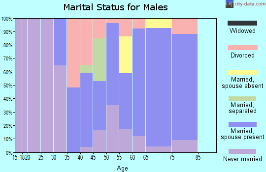 Zip code 13694 marital status for males