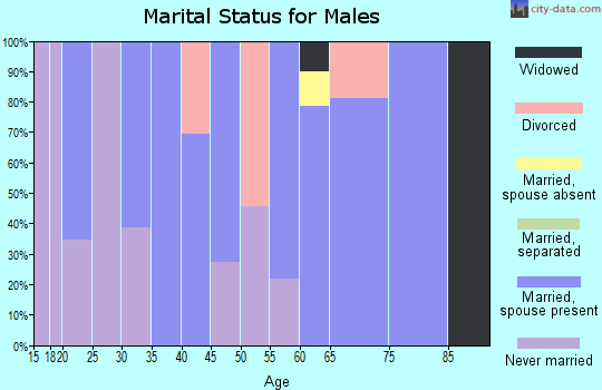 Zip code 13697 marital status for males