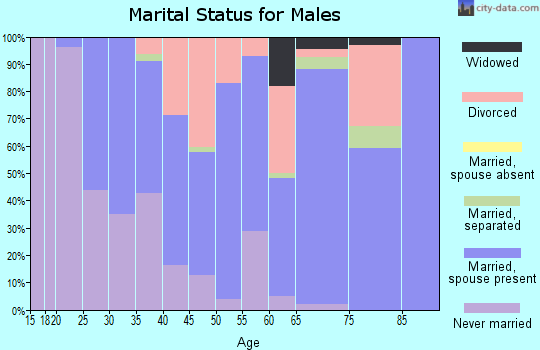 Zip code 13730 marital status for males