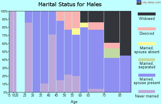 Zip code 13731 marital status for males
