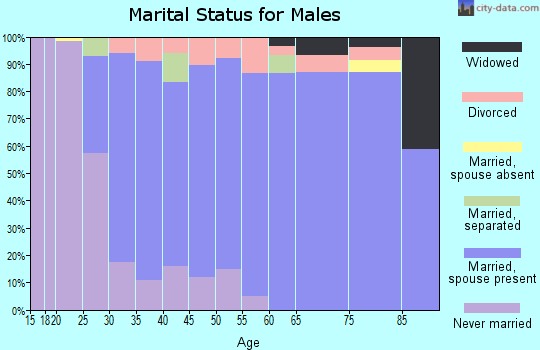 Zip code 13732 marital status for males