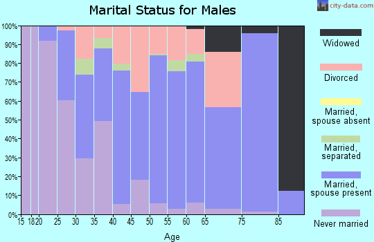 Zip code 13733 marital status for males