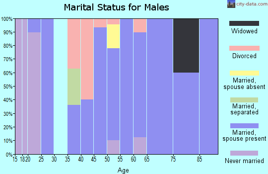 Zip code 13734 marital status for males