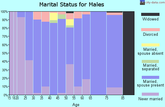 Zip code 13743 marital status for males
