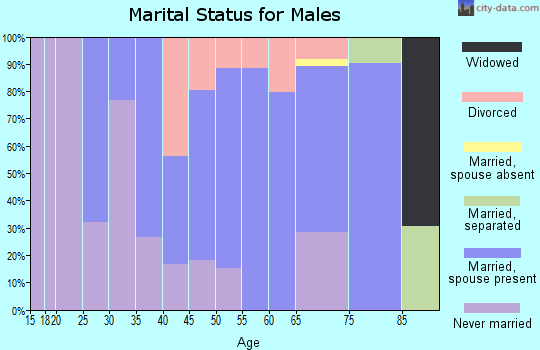 Zip code 13746 marital status for males