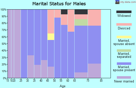 Zip code 13748 marital status for males