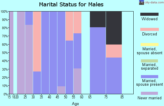 Zip code 13750 marital status for males