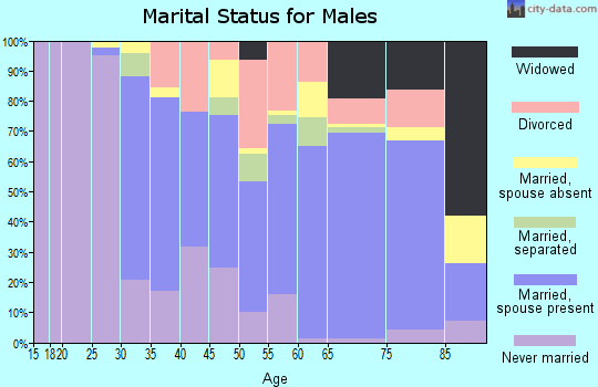 Zip code 13753 marital status for males
