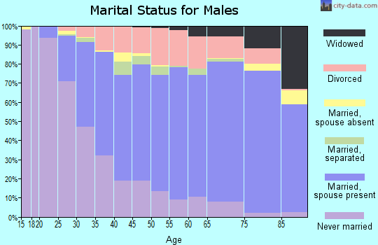 Zip code 13760 marital status for males