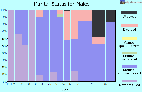 Zip code 13775 marital status for males