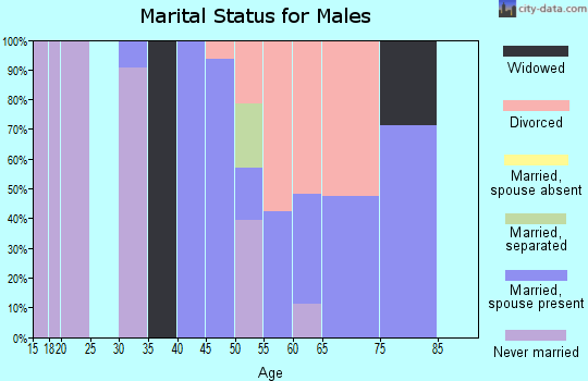 Zip code 13777 marital status for males