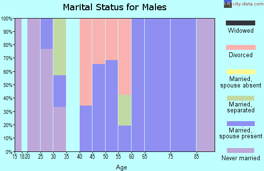Zip code 13780 marital status for males