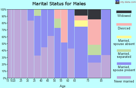 Zip code 13786 marital status for males