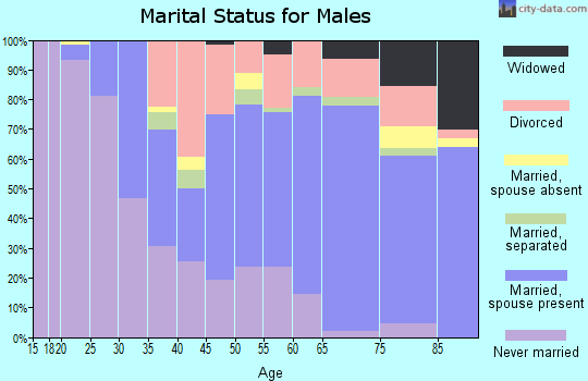 Zip code 13790 marital status for males
