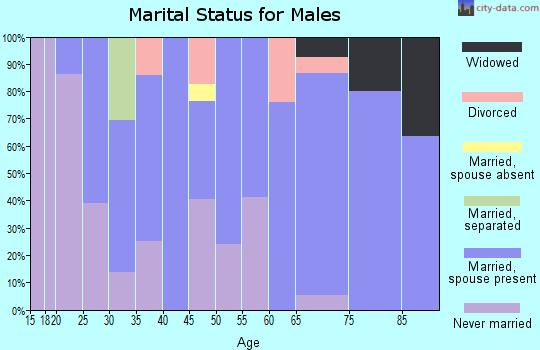 Zip code 13795 marital status for males