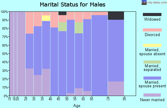 Zip code 13797 marital status for males