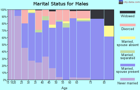 Zip code 13803 marital status for males
