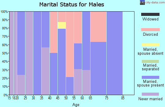 Zip code 13804 marital status for males