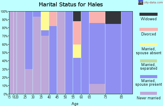 Zip code 13809 marital status for males