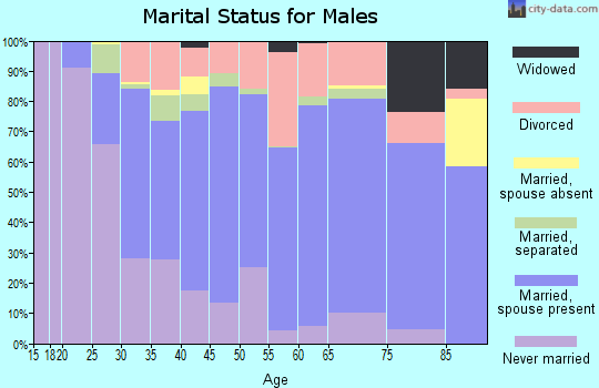 Zip code 13815 marital status for males