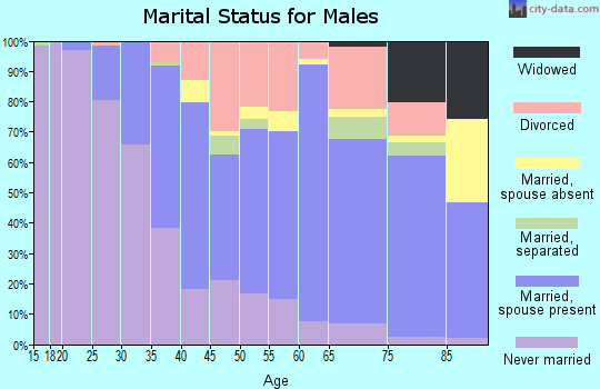 Zip code 13820 marital status for males