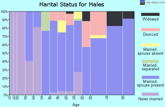 Zip code 13825 marital status for males