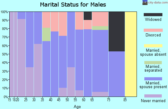 Zip code 13833 marital status for males