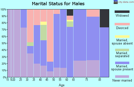 Zip code 13838 marital status for males