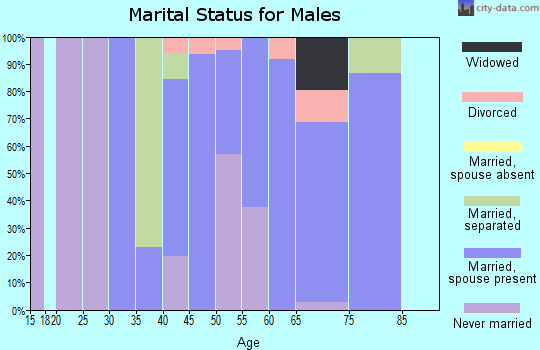 Zip code 13839 marital status for males