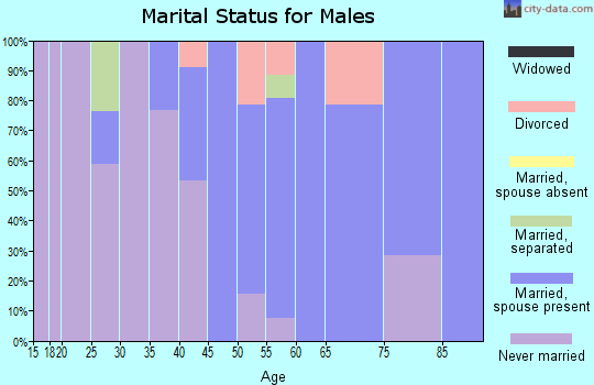 Zip code 13841 marital status for males