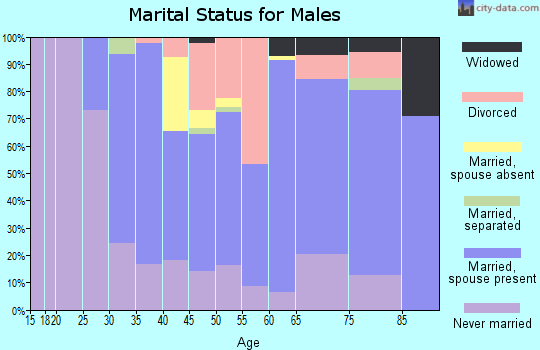 Zip code 13849 marital status for males