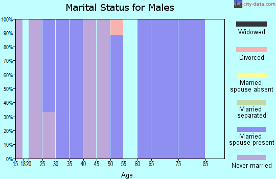 Zip code 13864 marital status for males