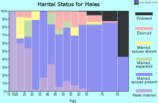 Zip code 13865 marital status for males