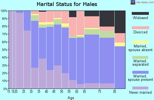 Zip code 13901 marital status for males